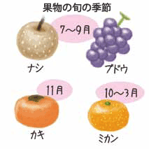 果物の旬の季節