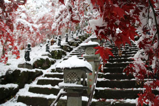 紅葉と積雪の大山寺の写真