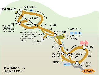 大山桜周遊コース