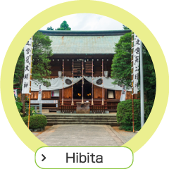 Hibita