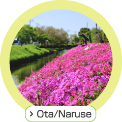 Ota/Naruse