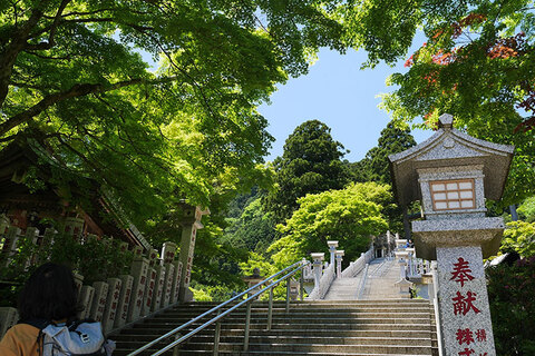 大山阿夫利神社下社の写真1
