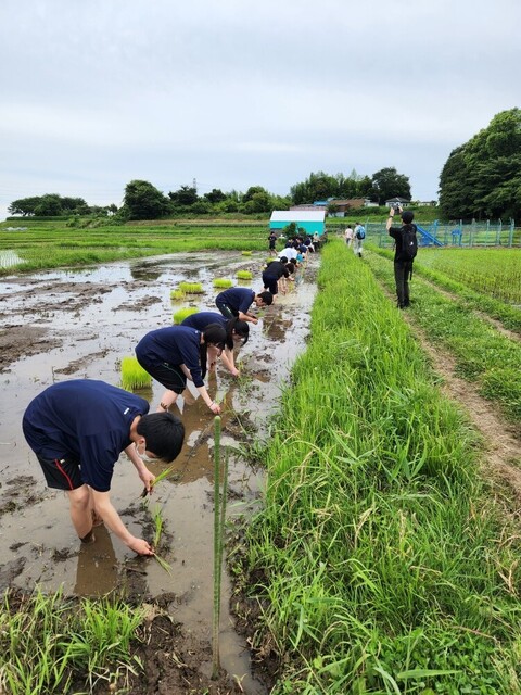 向上高等学校の田植えの様子の画像2
