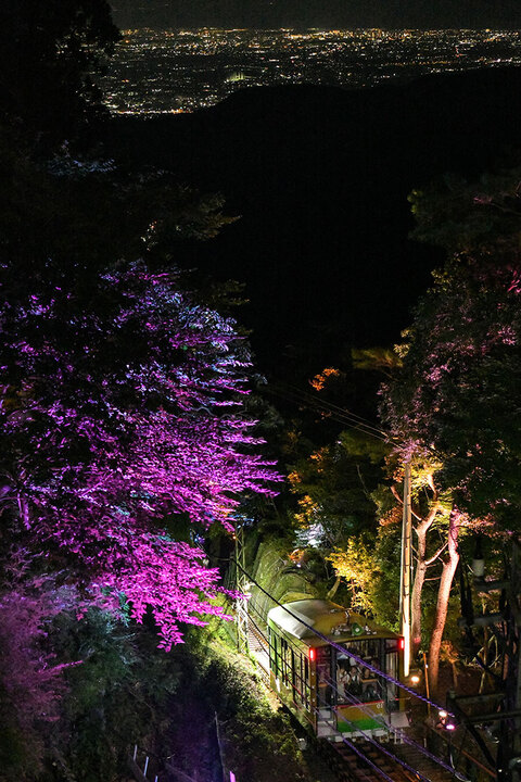 ライトアップされた大山ケーブルカーと夜景の様子