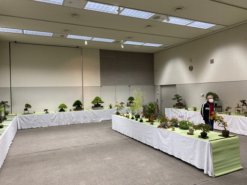 盆栽展