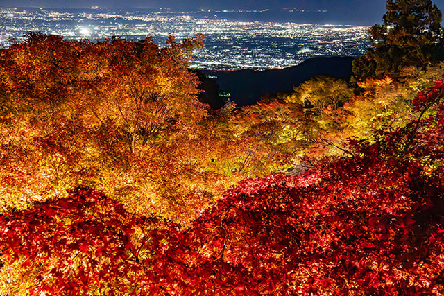大山紅葉ライトアップの様子2