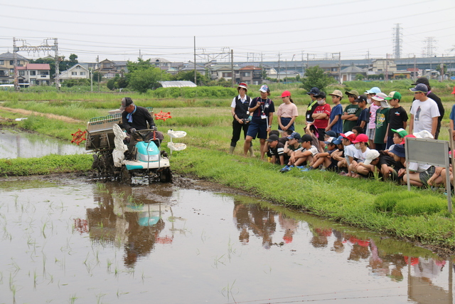 機会による田植えの見学