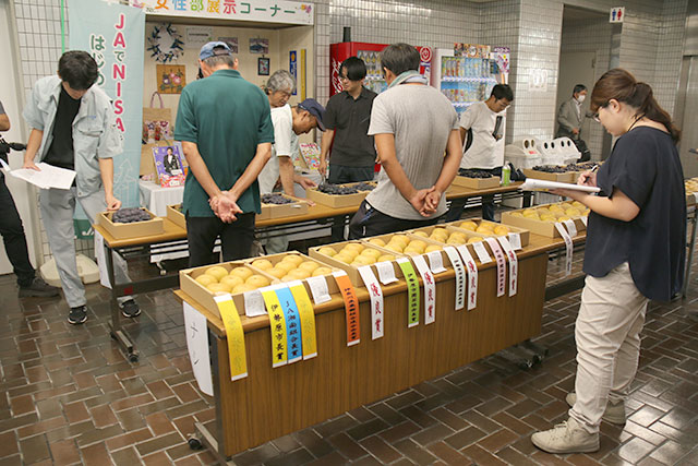 写真：ナシ・ブドウ品評会の様子4