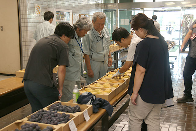 写真：ナシ・ブドウ品評会の様子3