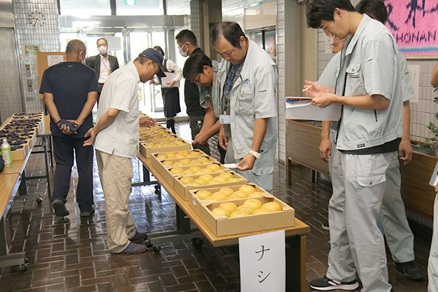 写真：ナシ・ブドウ品評会の様子3