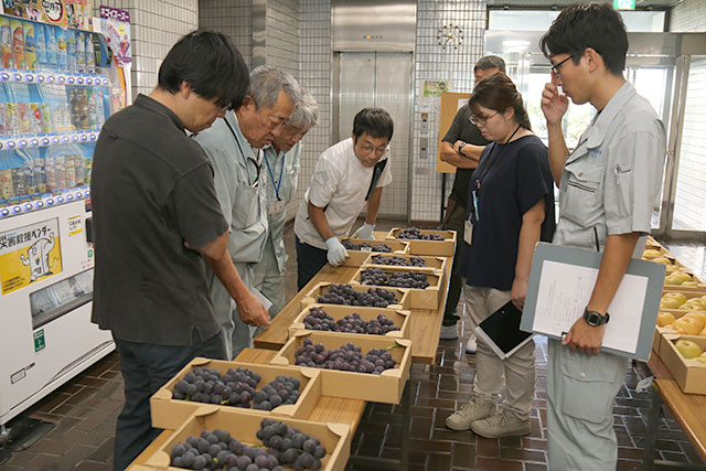写真：ナシ・ブドウ品評会の様子2