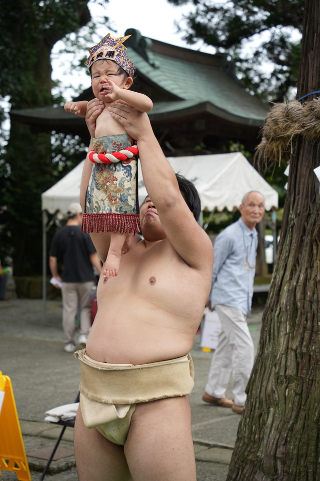 泣き相撲の様子