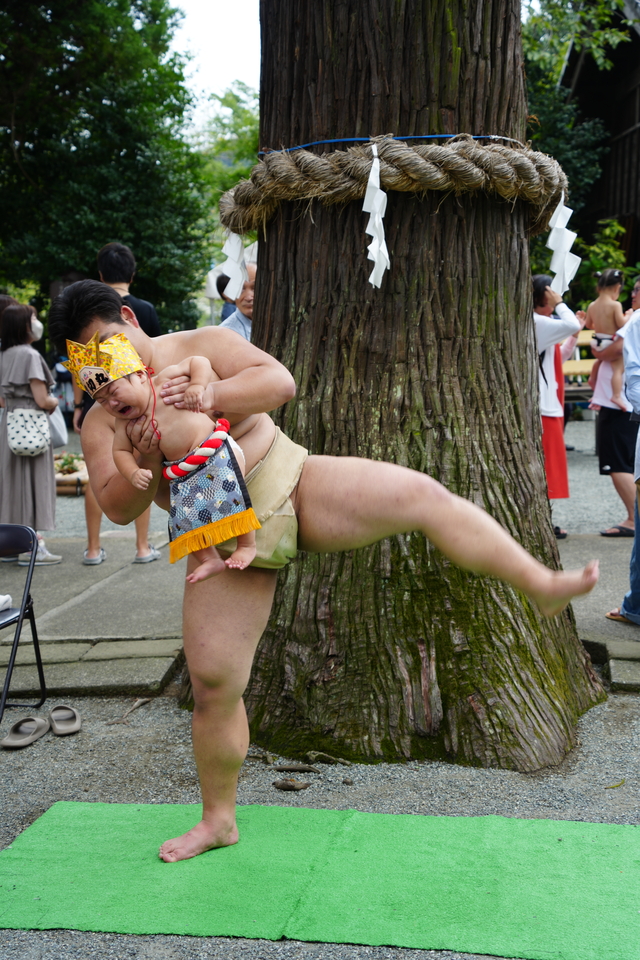 泣き相撲の様子