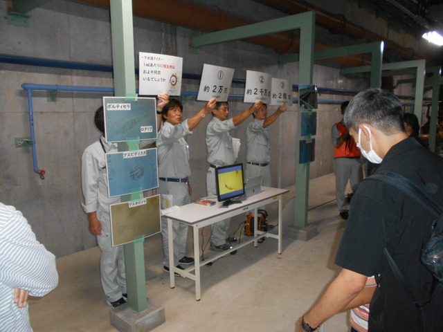 微生物の説明 画像:微生物の説明