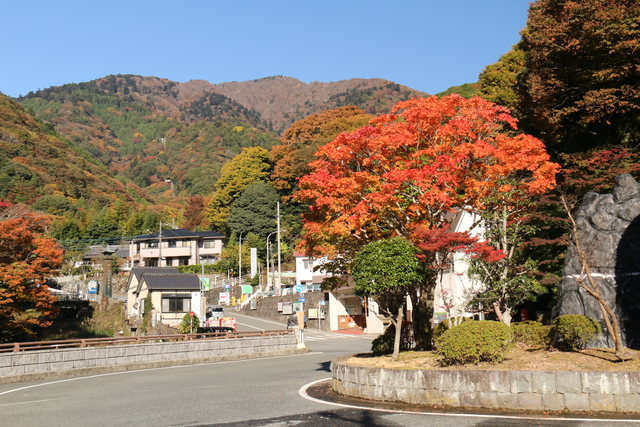 バスロータリー