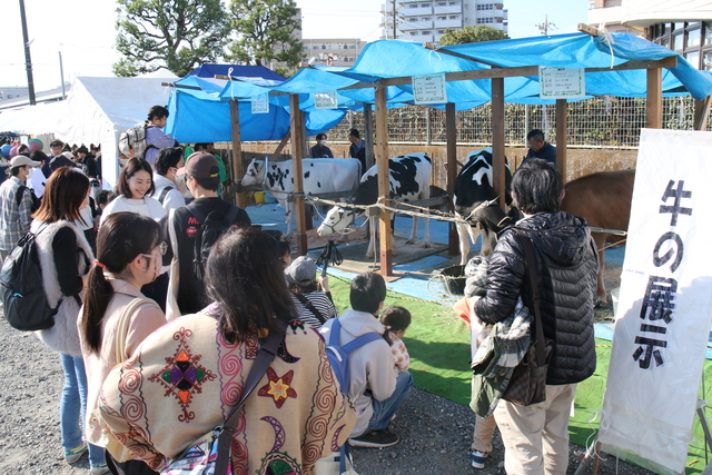 畜産まつり4