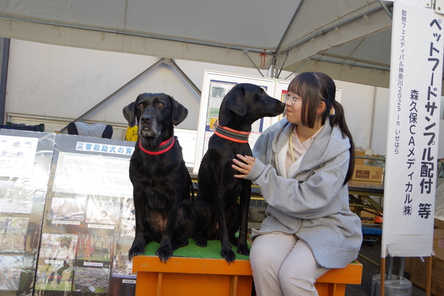 動物フェスティバル2