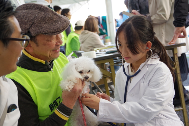 動物フェスティバル3