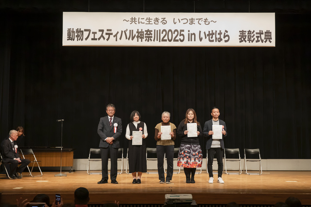 動物フェスティバル4