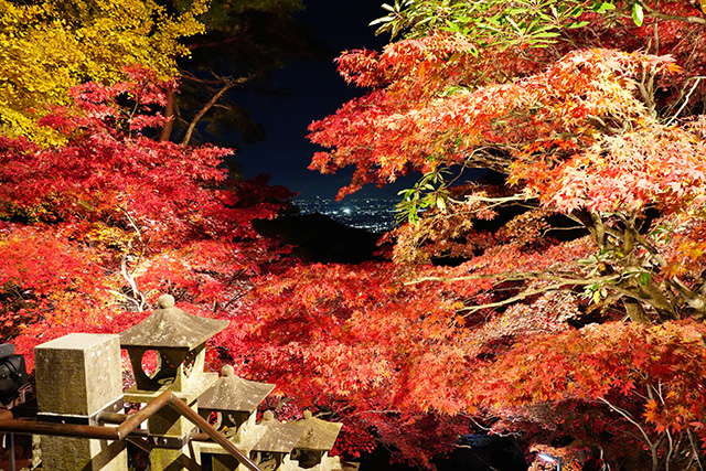 画像：大山寺からの夜景と紅葉