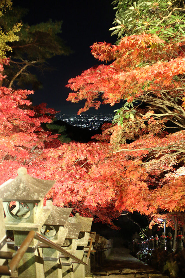 画像：大山寺からの夜景と紅葉