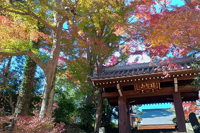 能満寺の紅葉の様子