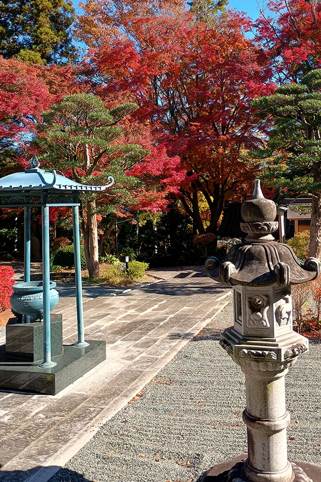 画像：能満寺の紅葉の様子