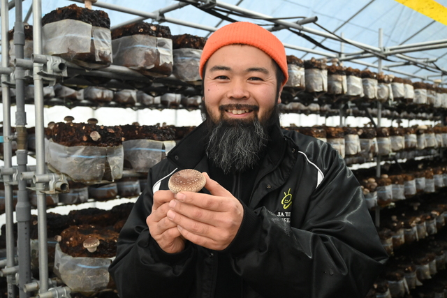 シイタケ農園の様子1