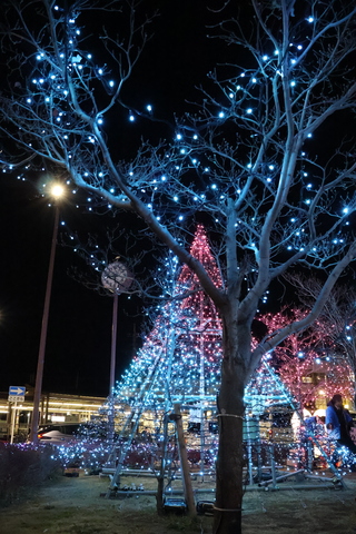 愛甲石田駅イルミネーションの様子【機種依存文字】