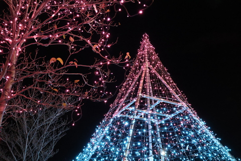 愛甲石田駅イルミネーションの様子
