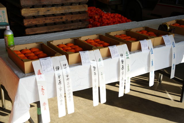 貯蔵果実持寄品評会の様子 画像:貯蔵果実持寄品評会の様子