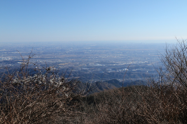 画像：大山からの眺望