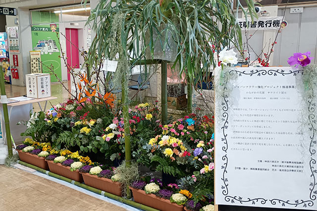画像：「かながわの花展」サテライト展示の様子