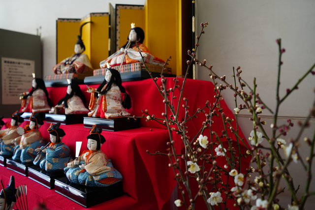 展示されたひな人形1