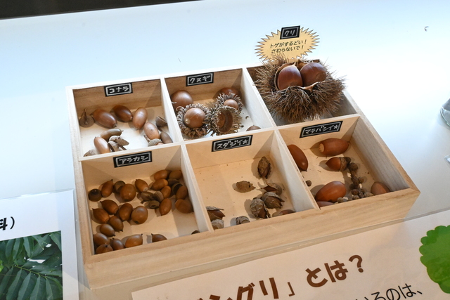 いせはら塔の山緑地公園