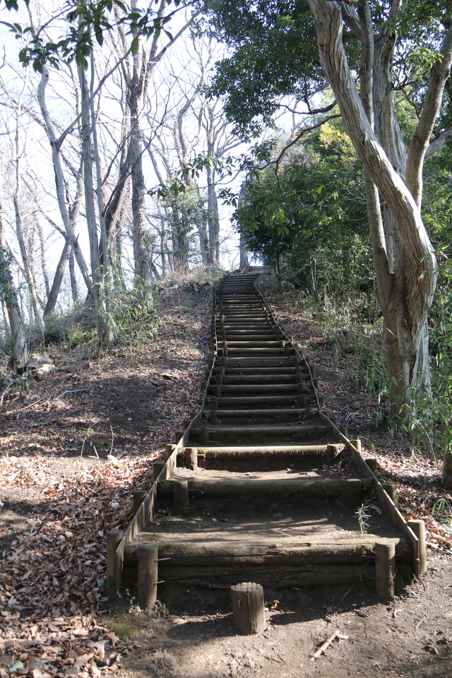 いせはら塔の山緑地公園