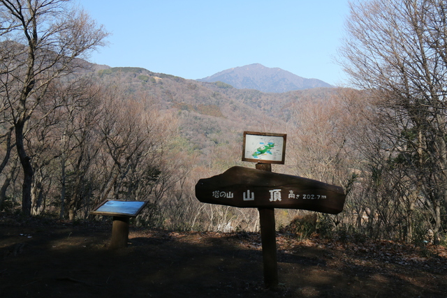 いせはら塔の山緑地公園