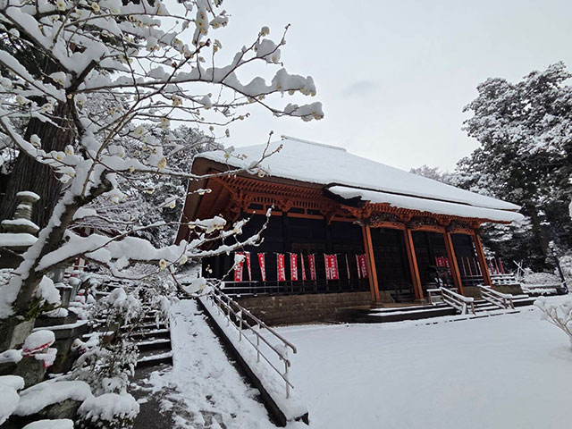 画像：雪に覆われた日向薬師の様子