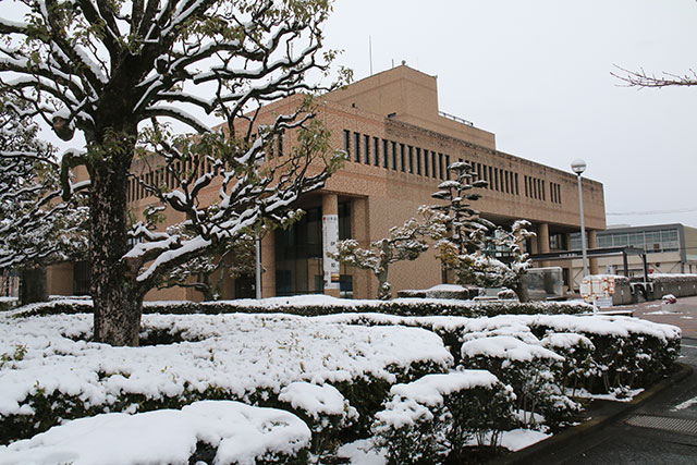画像：雪が積もった市役所敷地内の様子