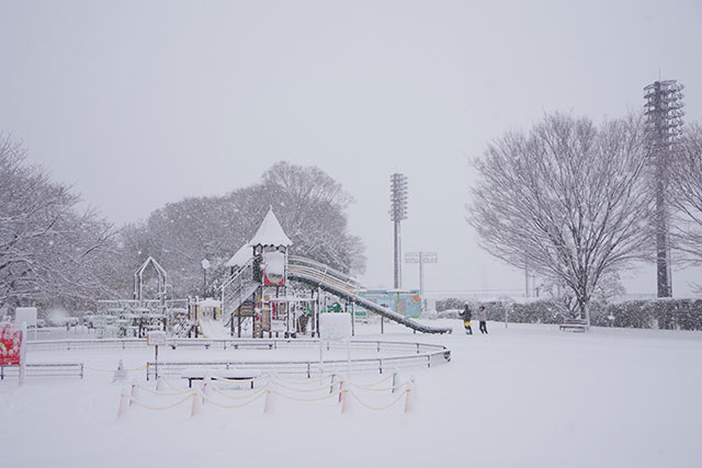 画像：雪に覆われた総合運動公園子どもの広場