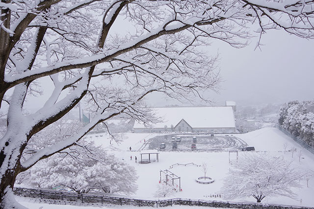 画像：雪に覆われた総合運動公園体育館と子どもの広場