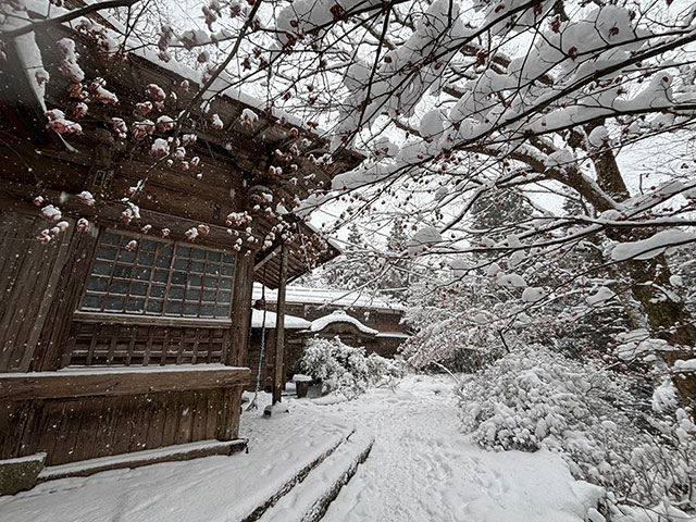 画像：雪に覆われた大山