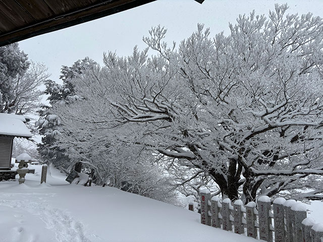 画像：雪に覆われた大山