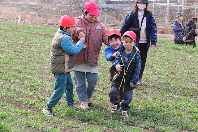 画像：高部屋小学校みんなで麦踏み