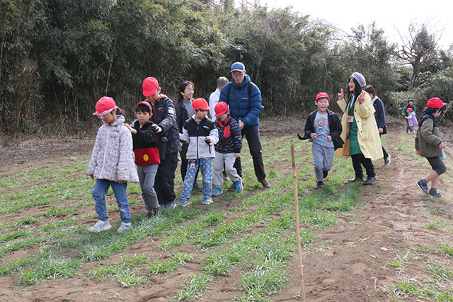 高部屋小学校みんなで麦踏み