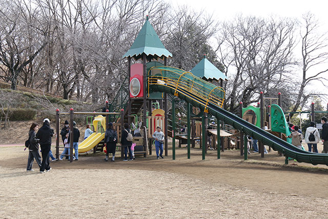 画像：イセハライチで賑わう総合運動公園