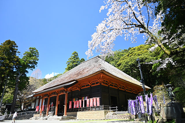 画像：日向薬師の様子