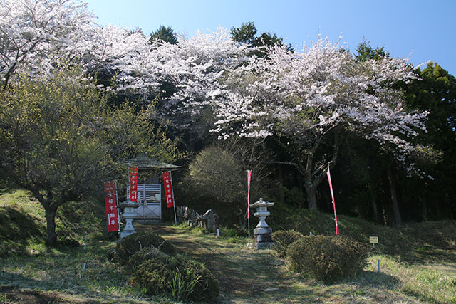 画像：聖峰の様子