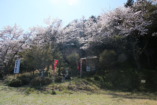 画像：聖峰の様子