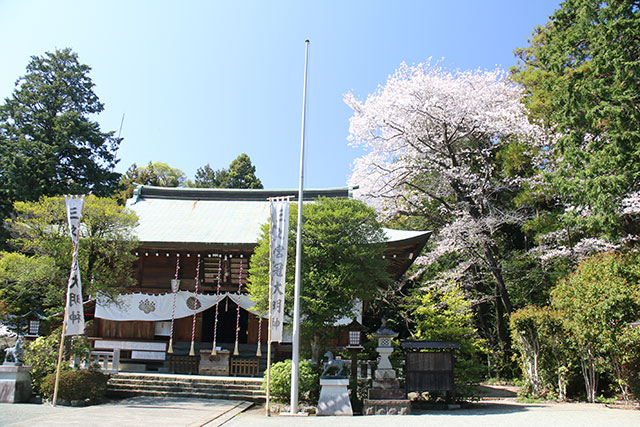 画像：三ノ宮比々多神社の様子